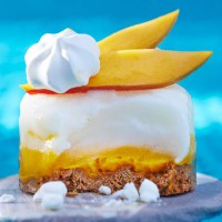 Cheesecake glacé