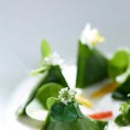 Berlingots chèvre, cresson et matcha